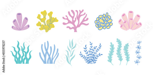 Coral reefs and seaweed set. Various colorful corals and algae plants collection. Sea and ocean life vector illustration