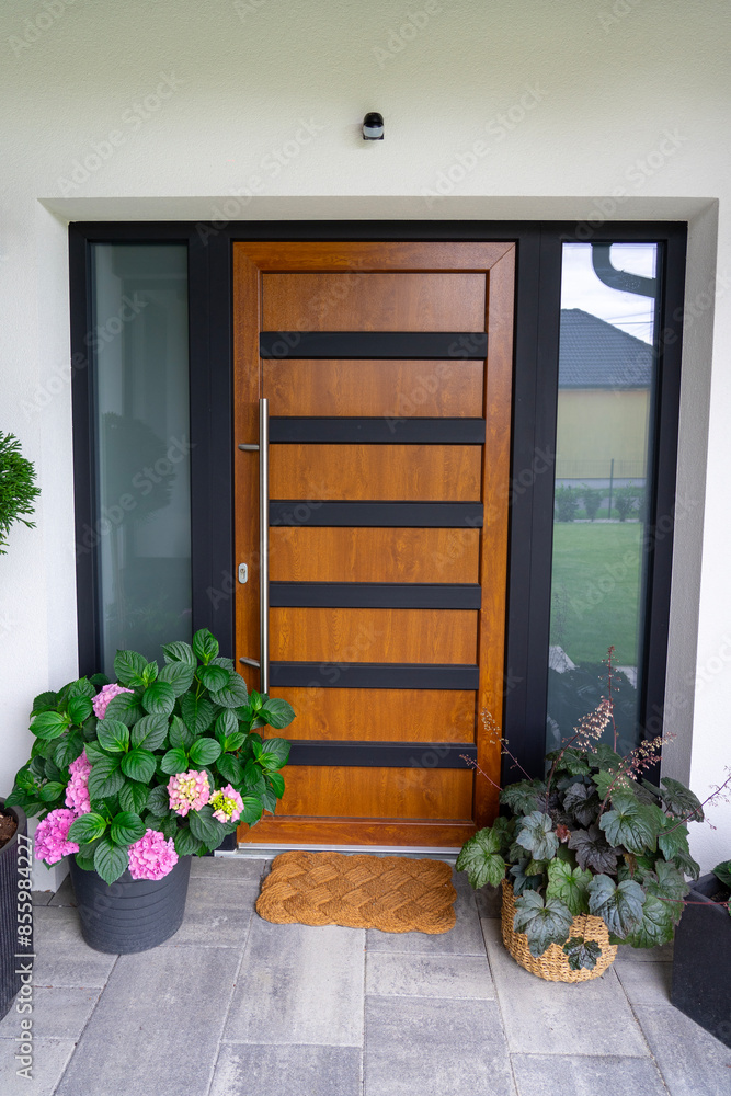 Fototapeta premium Entrance of a modern house gray wooden door white walls and flower pots with plants