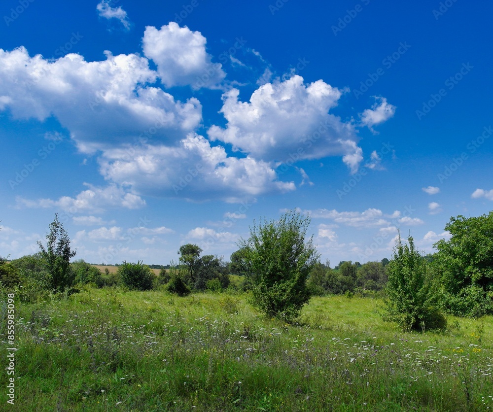 Summer landscape, road through the field, road in the countryside, landscape with blue sky and clouds