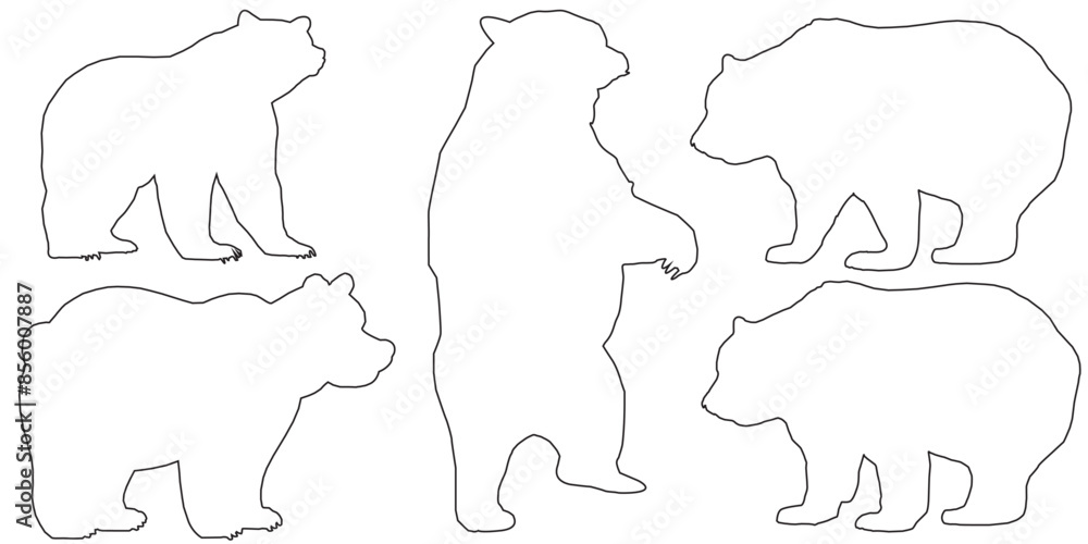 set of polar bears set of polar bears