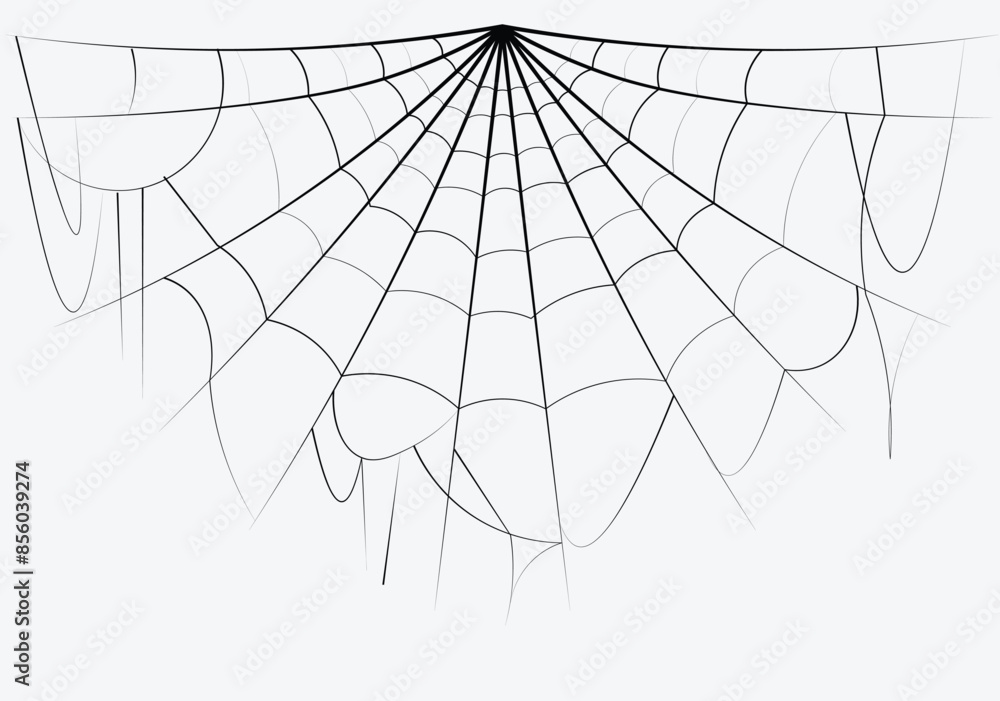 Fototapeta premium halloween spider web elements