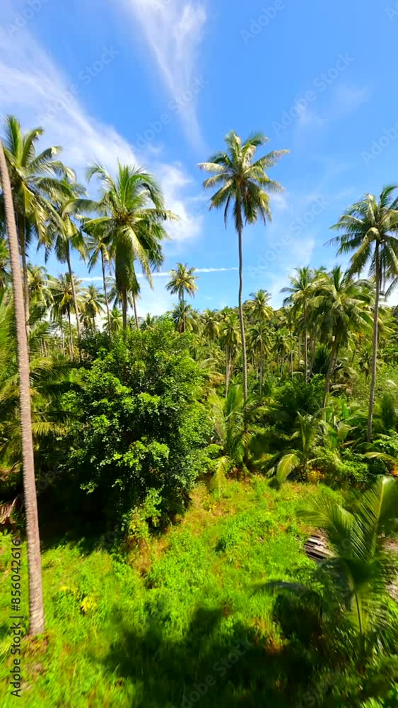 Cinematic FPV flight through lush green rainforest on sunny day in Thailand Cinematic FPV flight through lush green rainforest on sunny day in Thailand
