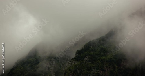 Foggy forest mountain landscape, clouds moving, long video background