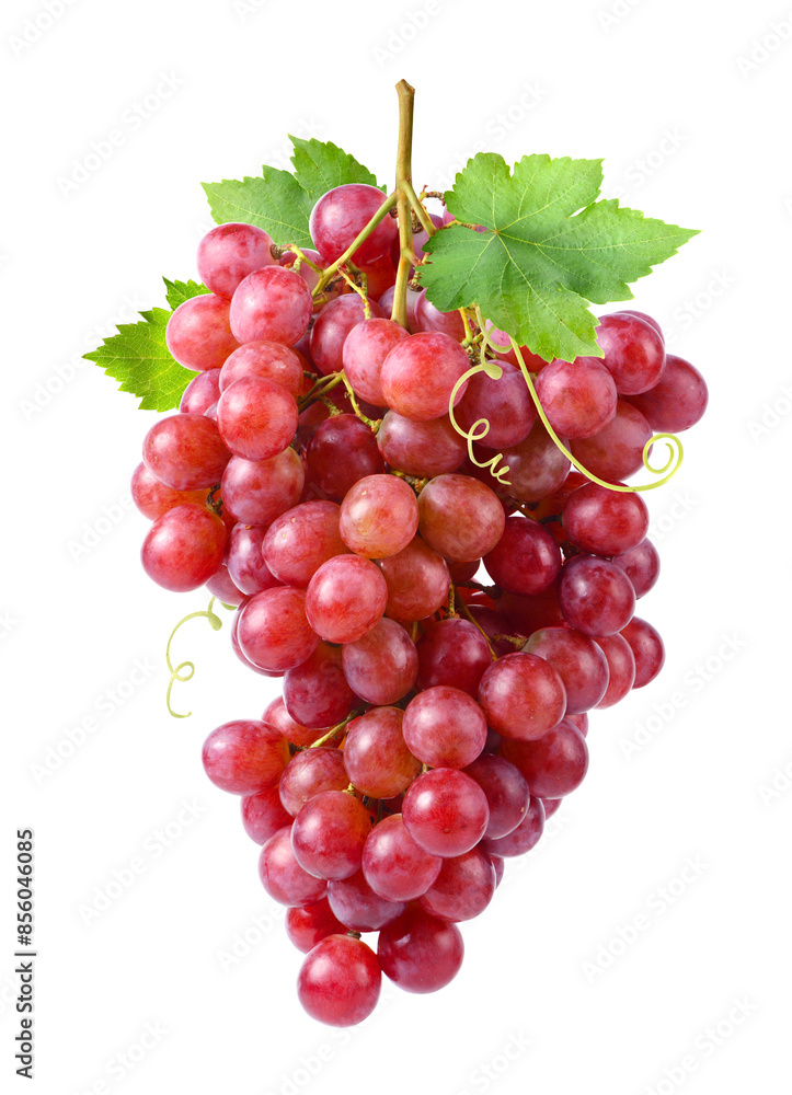 Red grape cluster with leaves isolated on white background. Red grape cluster with leaves isolated on white background.