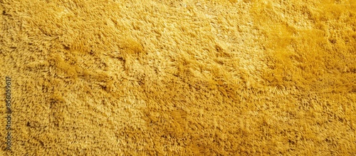 Old yellow carpet texture. ...