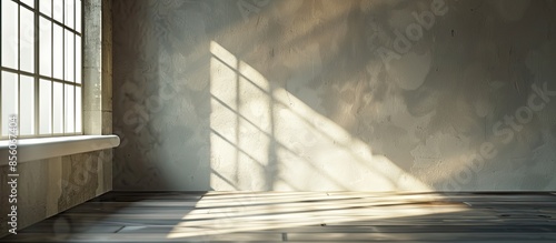 Interior of the empty room ...