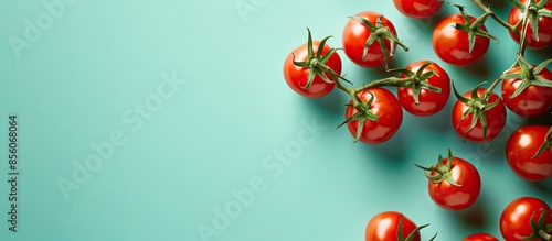 tomatoes on a pastel backgr...
