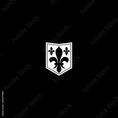 Middle ages heraldic shield icon isolated on dark background