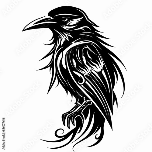 A black and white bird with a fierce look on its face