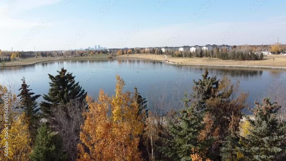 Fall aerial views of calgary trees above Elliston park storm pond Fall aerial views of calgary trees above Elliston park storm pond