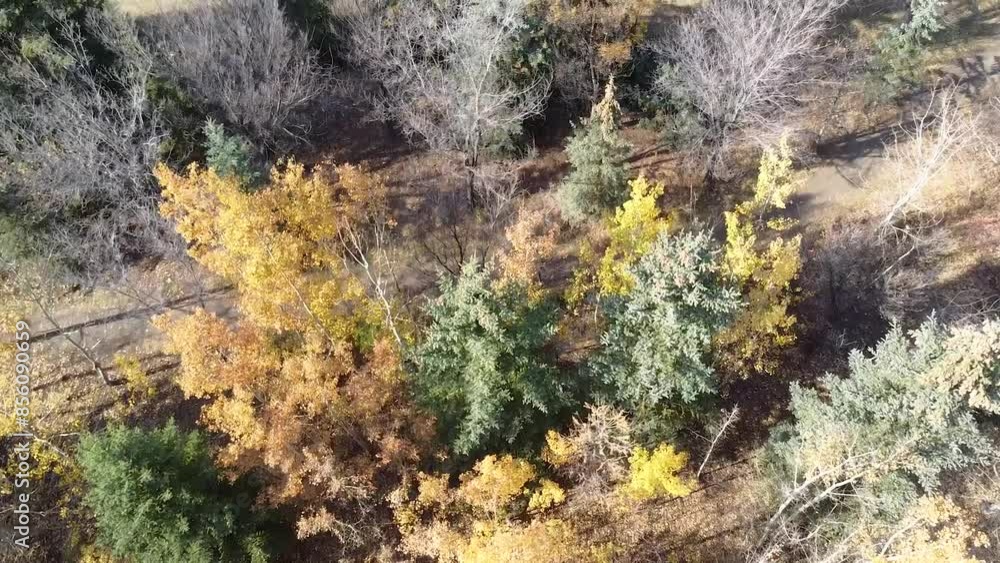 Aerial fall orange, yellow canadian tree foliage Aerial fall orange, yellow canadian tree foliage