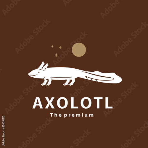 vintage retro hipster axolotl logo vector outline silhouette art icon	