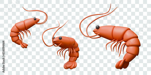 Set of realistic shrimps in different positions. Ingredients for seafood menu