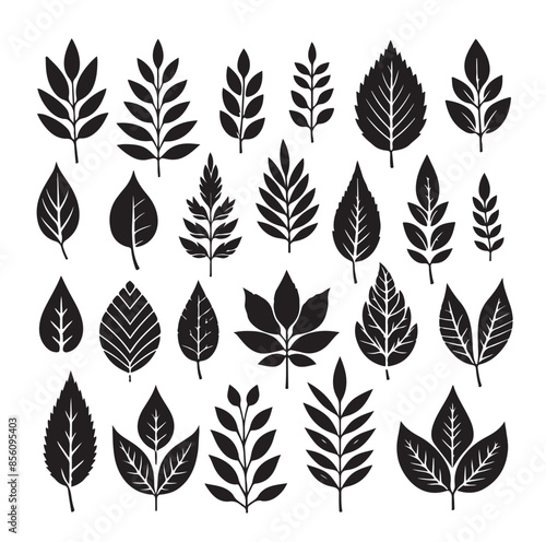 Leaf collection - vector silhouette