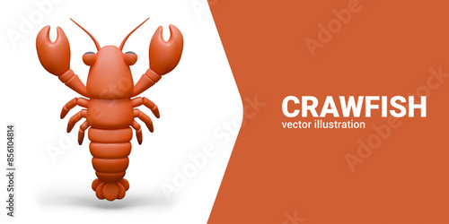 Realistic red crawfish in cartoon style. River animal. Isolated creature