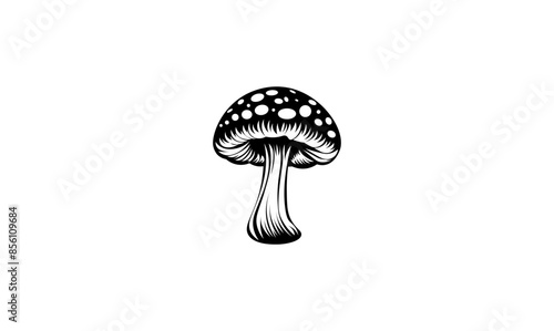 Cartoon mushrooms. Vector illustration, print for background, print on fabric, paper, wallpaper, packaging.