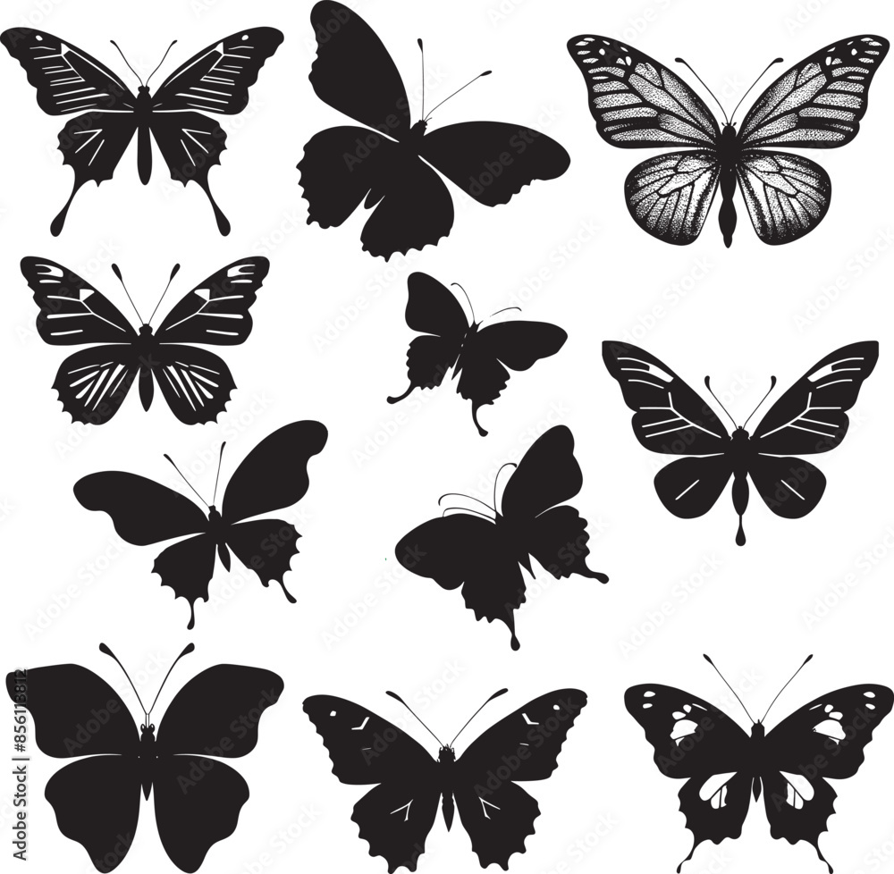 set of butterflies isolated set of butterflies isolated