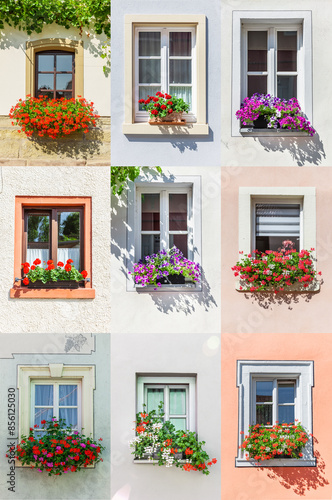 Poster als Collage mit verschiedenen Blumenfenstern