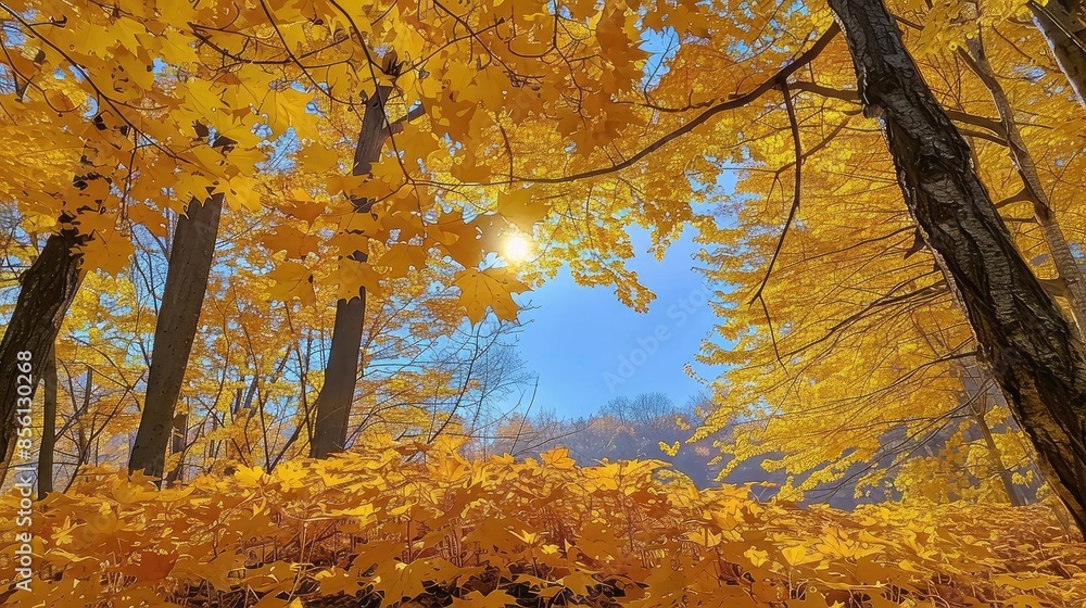A captivating autumn forest scene with vibrant gold leaves and sun shining through trees, showcasing the beauty of fall nature. A captivating autumn forest scene with vibrant gold leaves and sun shining through trees, showcasing the beauty of fall nature.