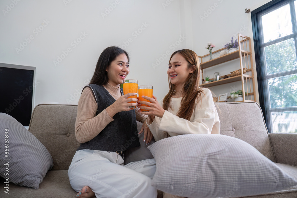 Happy Lesbian Couple Enjoying Healthy Orange Juice Together at Home in a Modern Living Room Happy Lesbian Couple Enjoying Healthy Orange Juice Together at Home in a Modern Living Room