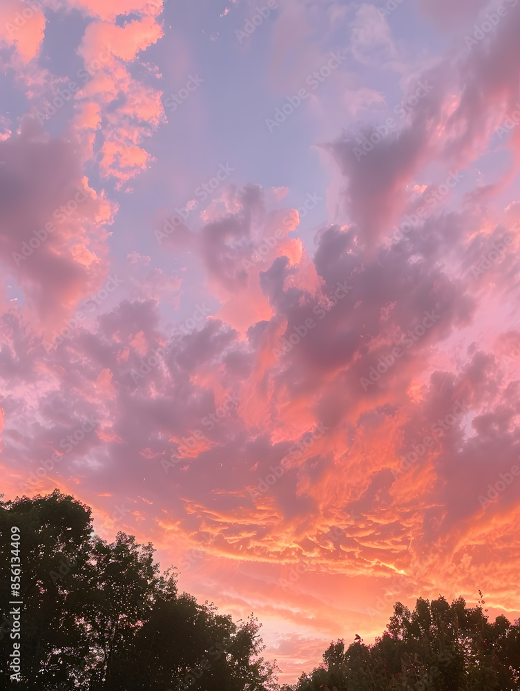 the vast sky and beautiful atmosphere the vast sky and beautiful atmosphere