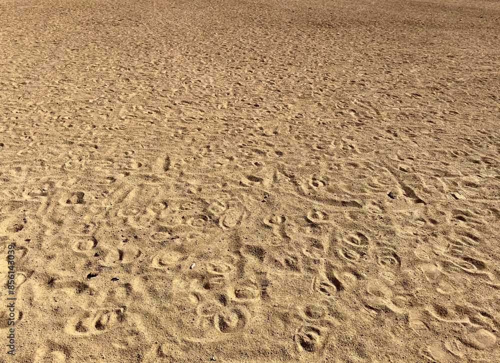 An empty dirt horse corral ground lies silent, its dusty surface showing hoof prints, evoking a rustic and tranquil atmosphere, waiting for the next spirited activity. An empty dirt horse corral ground lies silent, its dusty surface showing hoof prints, evoking a rustic and tranquil atmosphere, waiting for the next spirited activity.
