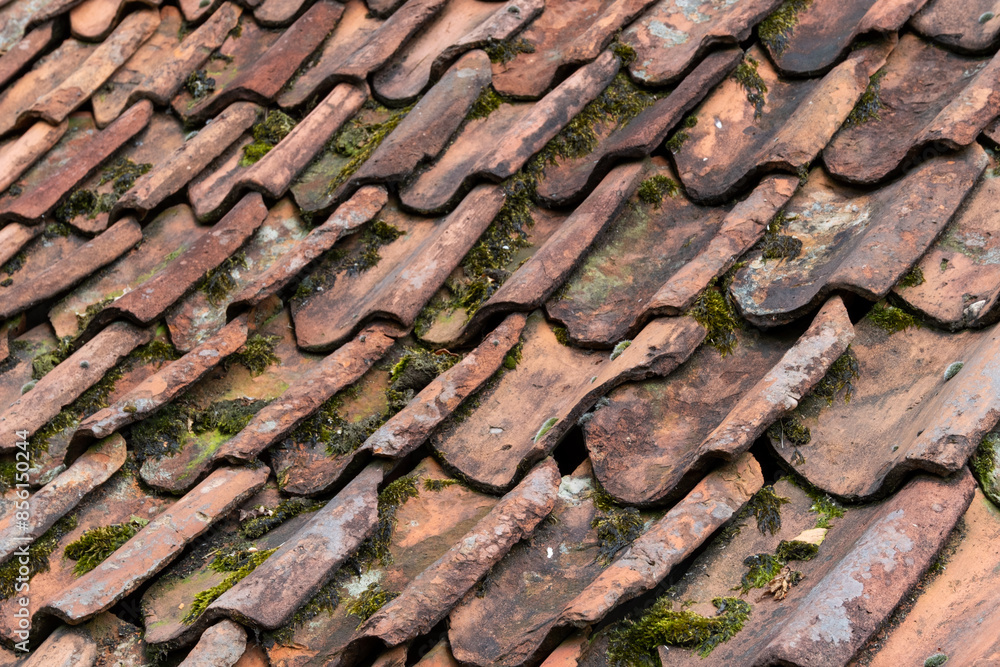 roof with old clay tiles and moss roof with old clay tiles and moss