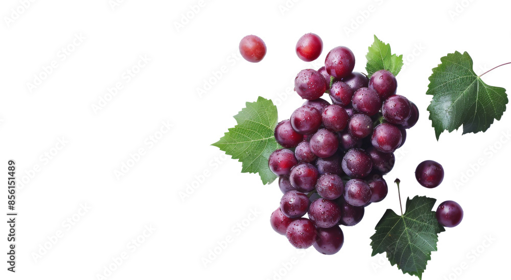 Red grapes with leaves on transparent or white background Red grapes with leaves on transparent or white background