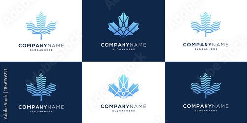 Maple network connection flow logo vector collection. 