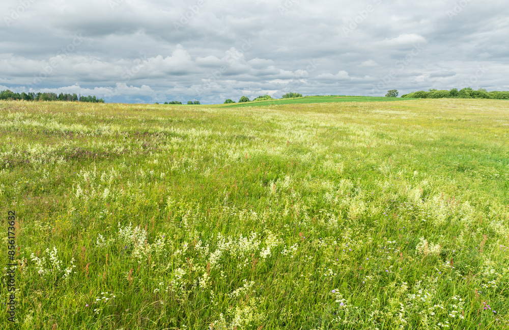 Summer landscape in the countryside of Latgale, Latvian nature. Summer landscape in the countryside of Latgale, Latvian nature.