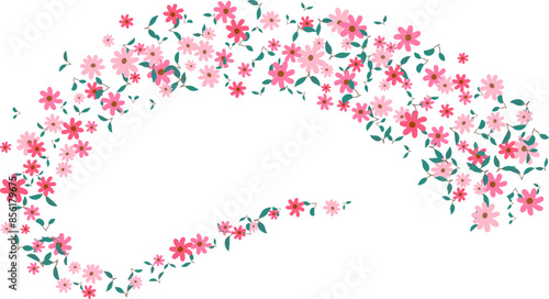 floating daisy pink flower isolated on a transparent background. spring, summer