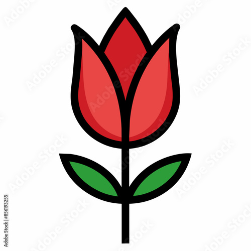 Tulip Flower Vector Illustration