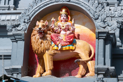 Obraz na plátne Goddess Durga riding a lion