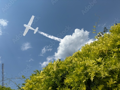 Blue sky clouds airplane trip green tree composition