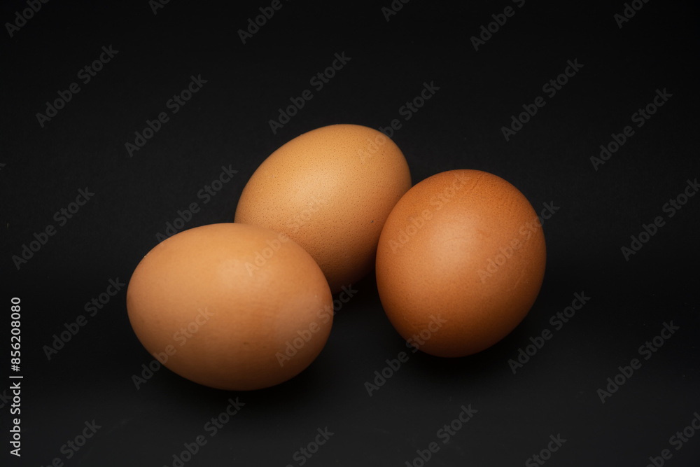 side view of chicken egg on black background side view of chicken egg on black background