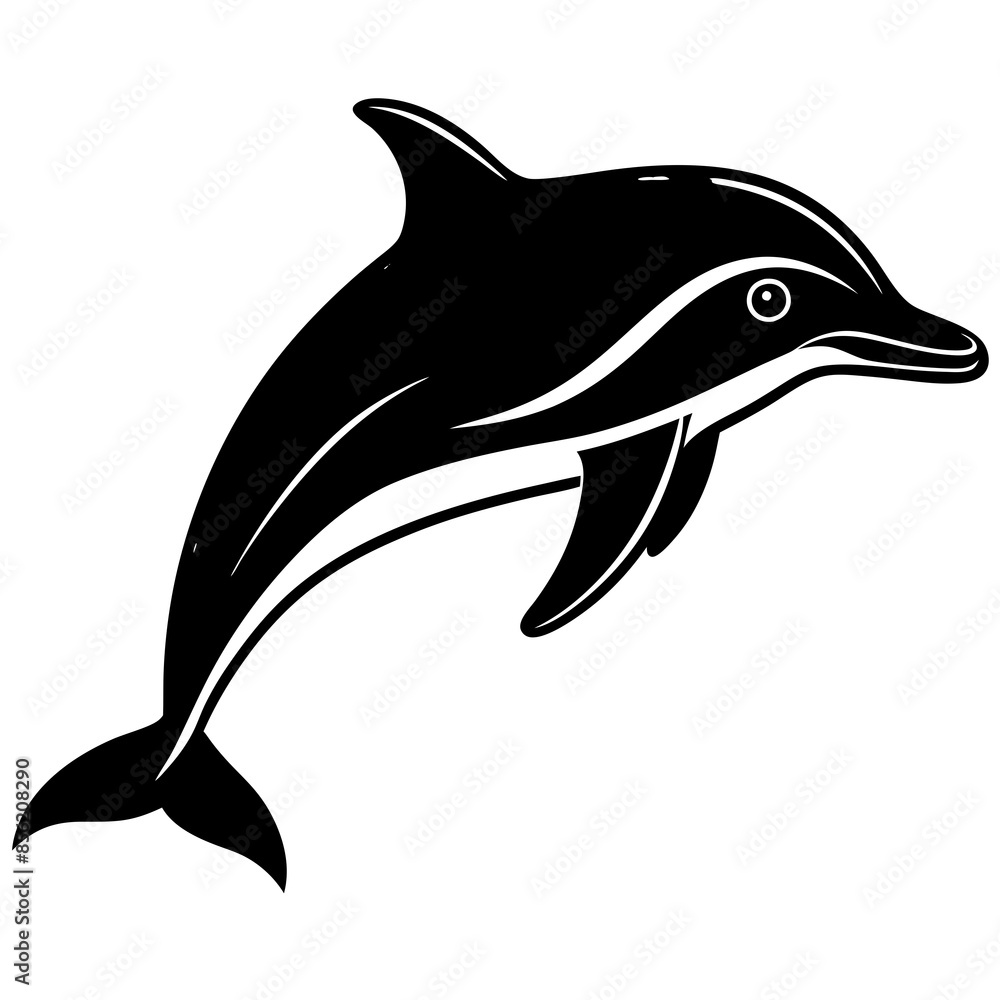 dolphin isolated on white dolphin isolated on white