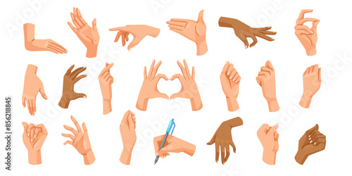 Multiple hand gestures in various positions, vector illustration, on a white background. Concept of communication and expressions. Vector illustration