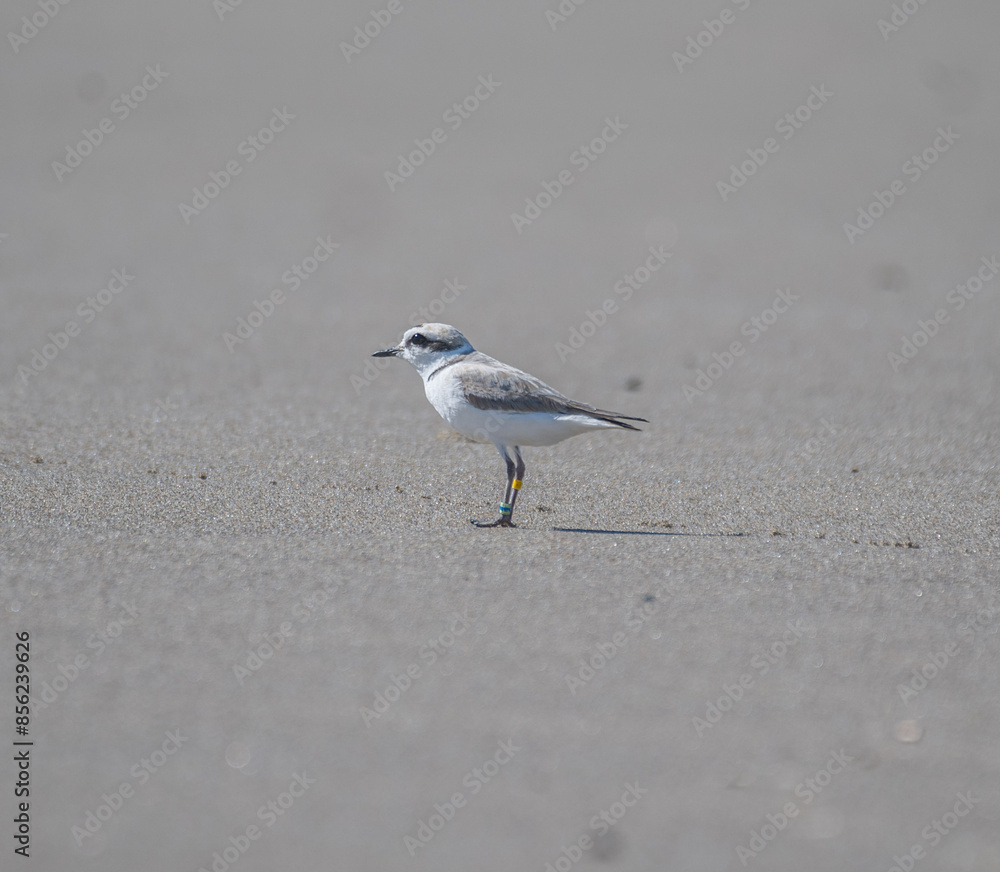 Bird waiting Bird waiting