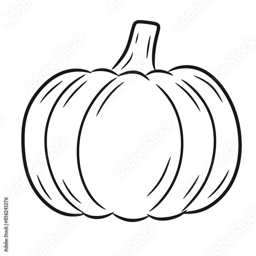Hand drawn pumpkin outline