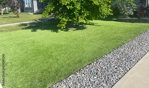 A beautiful artificial lawn in the front yard with nice tree and shrubs surrounding it