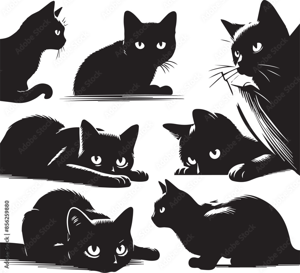 black and white cats Set black and white cats Set
