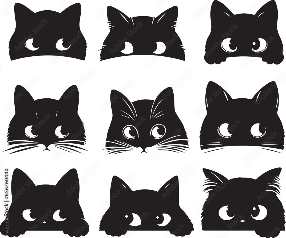 black and white cats Set black and white cats Set