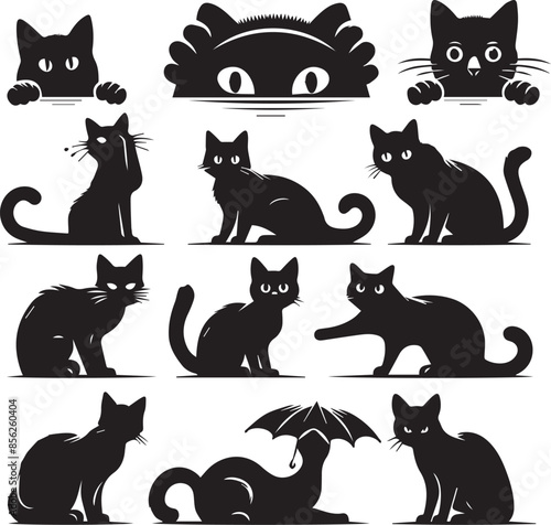 black and white cats Set 
