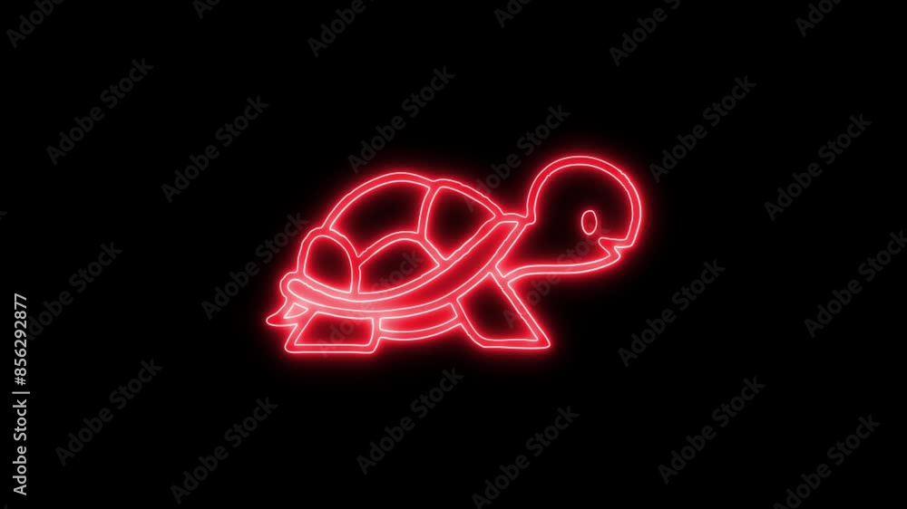 Neon Glowing Turtle Animal Icon and Symbol Animation on Black Background Neon Glowing Turtle Animal Icon and Symbol Animation on Black Background