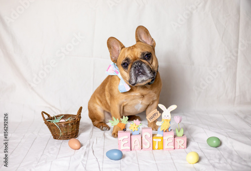 Easter Dog