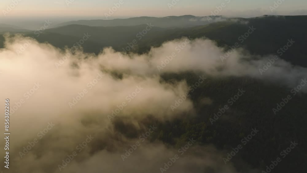 Mist in the mountains, Beskids, Poland Mist in the mountains, Beskids, Poland