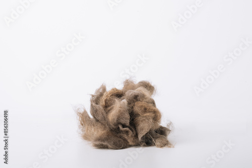 Big cat hairball on white background. Animal grooming concept	