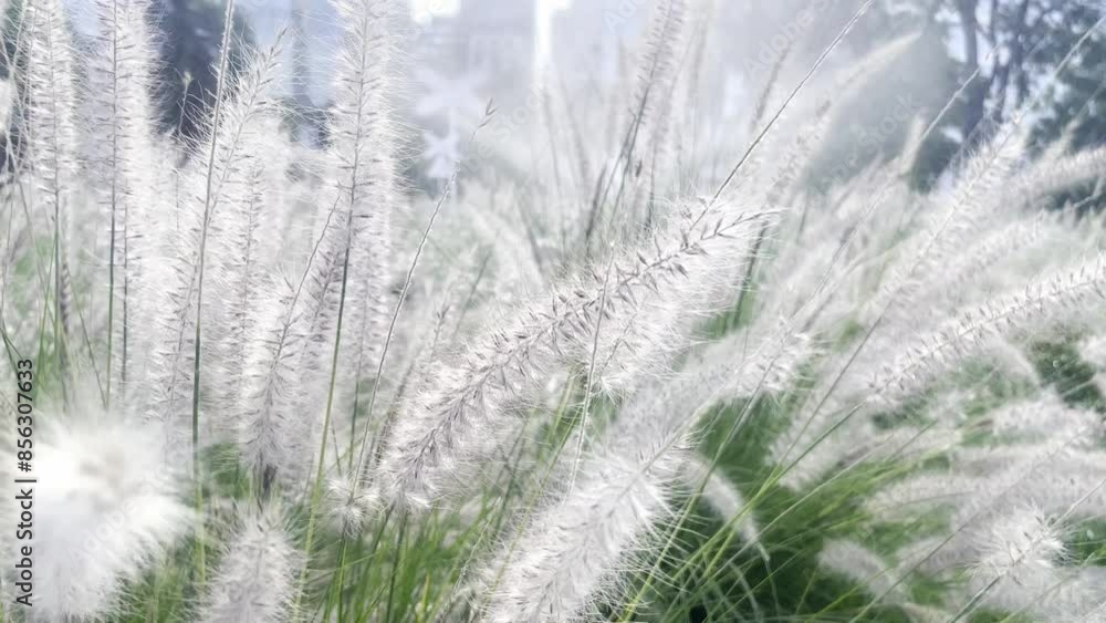 Green plant and grass in a summer garden, showcasing nature s beauty. White flowers in a meadow, autumn flora providing a stunning background. Closeup of spring growth in the landscape, with leafy Green plant and grass in a summer garden, showcasing nature s beauty. White flowers in a meadow, autumn flora providing a stunning background. Closeup of spring growth in the landscape, with leafy