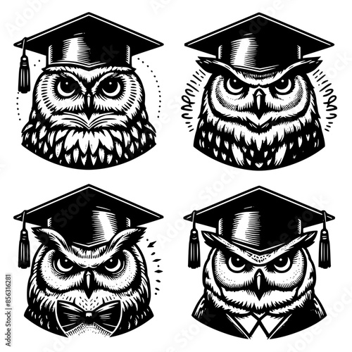 Four vector icons of an owl animal wearing academic graduate student hat