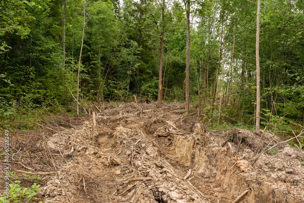 A deep rut cut into virgin soil by heavy vehicles in the forest. Many damaged bushes and trees. Distressed nature as a result of human activity A deep rut cut into virgin soil by heavy vehicles in the forest. Many damaged bushes and trees. Distressed nature as a result of human activity
